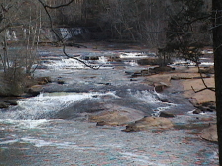 Reedy River