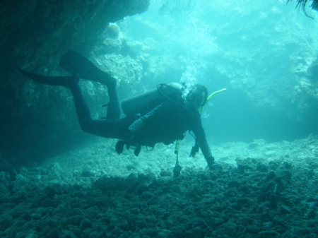 Diving in Maui