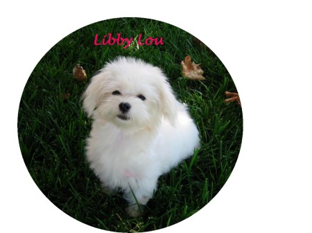 Libby Lou
