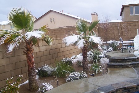 Snowing in Palmdale!