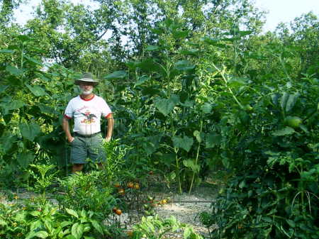 Summer garden August 2007