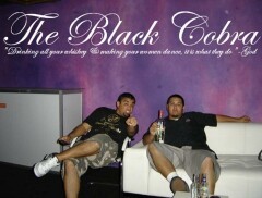 THE BLACK COBRA