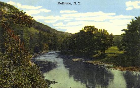 Willowemoc River, DeBruce NY.