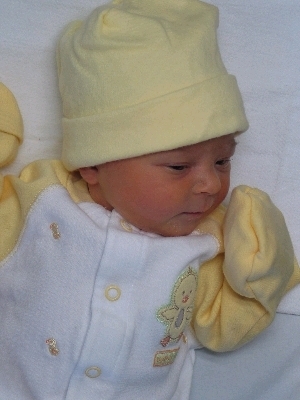 newest grand child born in May 2008