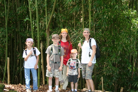 Hiking in bamboo