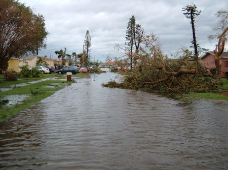 Our street in FL after "Hurricane Wilma!!"