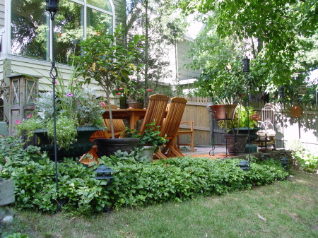 Our favorite dining place - our back yard