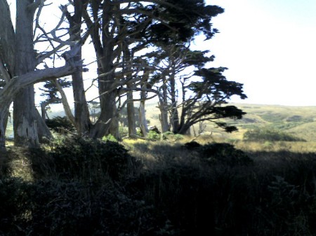 More Point Reyes - A must!