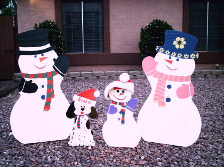 Arizona snow family