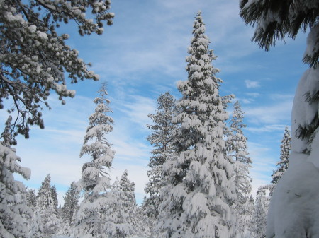 Looking out the back door at Lake Tahoe, Ca.