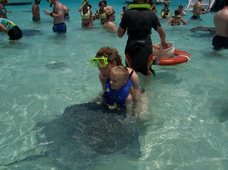 Grand Cayman (Stingray City)