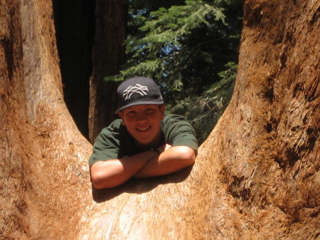 2007 Sequoias