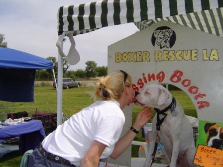 Boxer Kisses