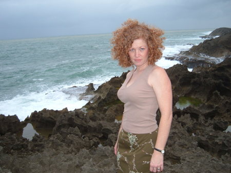 A Beautiful Windy Day At The Beach