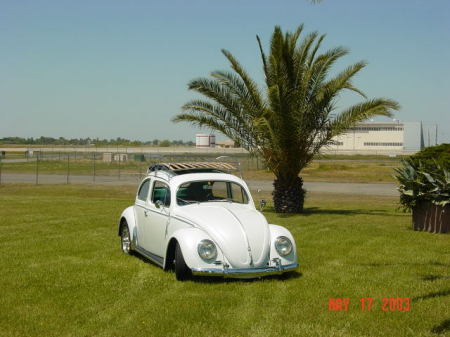 My 1955 Rag Top