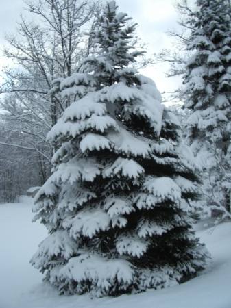 Michigan Winter 1-21-06