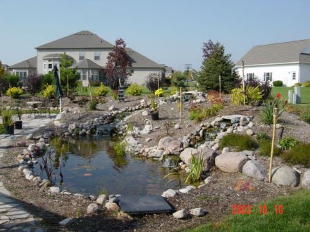 Our backyard; A peaceful Coi pond.