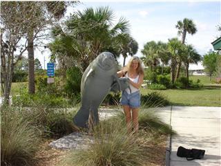 Manatee & Me!  Ft. Myers, FL 2005