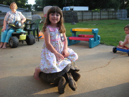 Caylee on Link our Galapago's tortoise