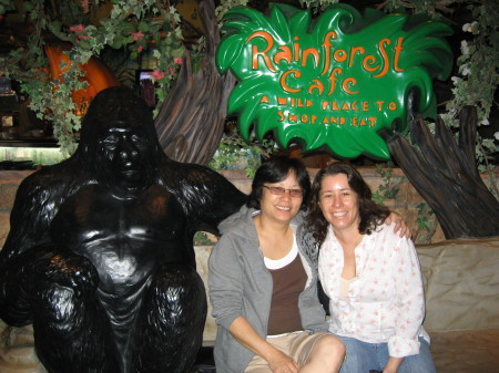 Rainforest Cafe 2007