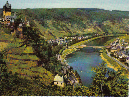 Castle on the Mosel River