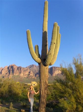 Apache Junction, AZ  March 2008