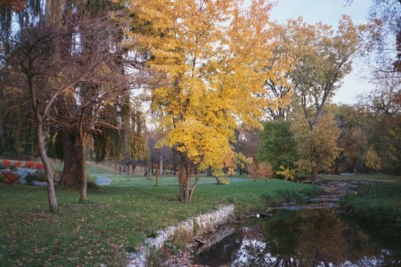 Brooklyn Memorial Park