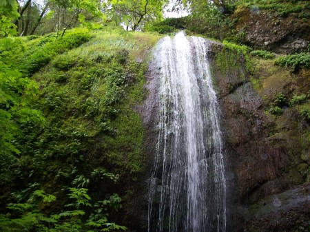 tehan falls