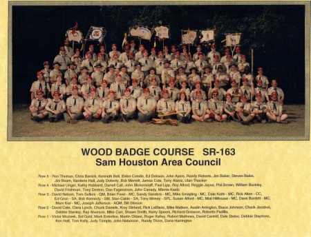 Wood Badge - SR 163