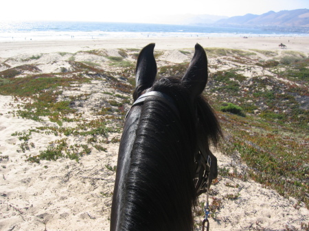 Beach ride