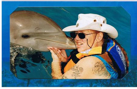 swimming with dolphins in Mexico