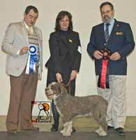 Reserve BIS, Top Dog in Classic