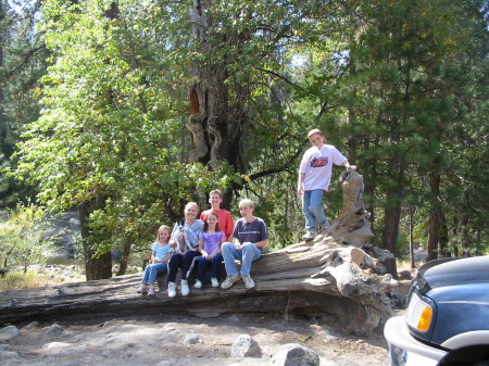 Sequoia National Forest 2003