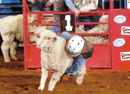 CHELSEA RIDING SHEEP AT RODEO