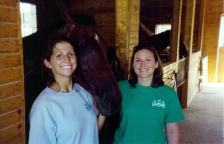 Michele's Horse Barn