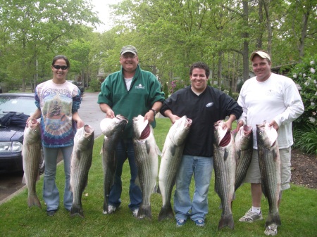 Striped Bass 18 May 2008