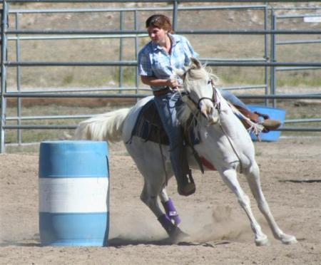 Horse Show In Big Bear