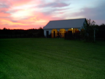 The backyard at dusk