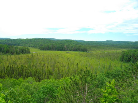 Algonquin Park.