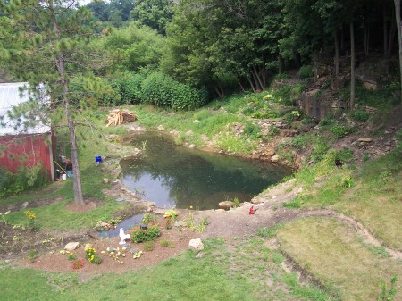 Pond I put in a few years back