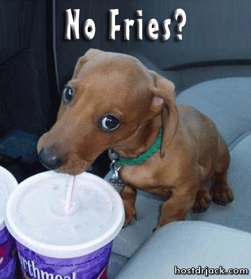 no fries mini weinie puppy