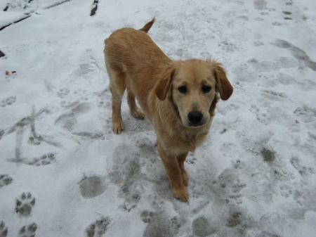 Chief, 6 months, Jan. '08