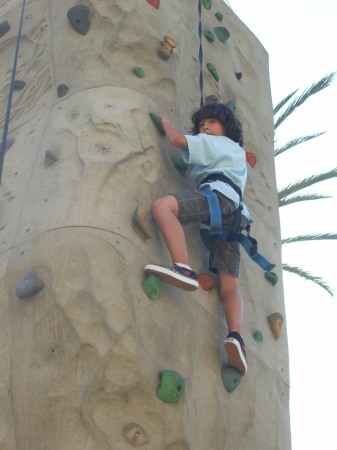 The Rock Climber