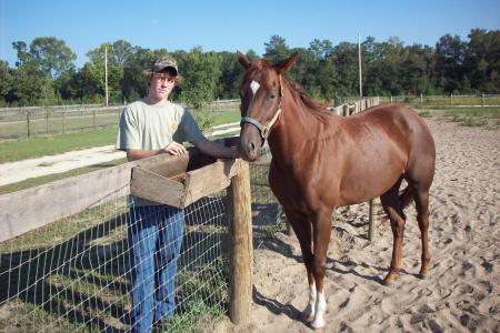 Horse Farm