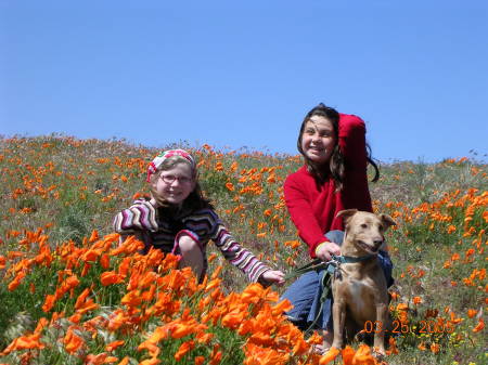 Emily, Olivia and Toby at the Poppy Fields