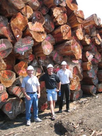 Curtis at Log Yard Looking at Timber