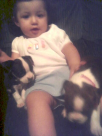 lexi with our new pups!:P