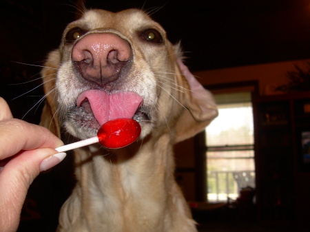 one of my "babies" enjoying a blow pop