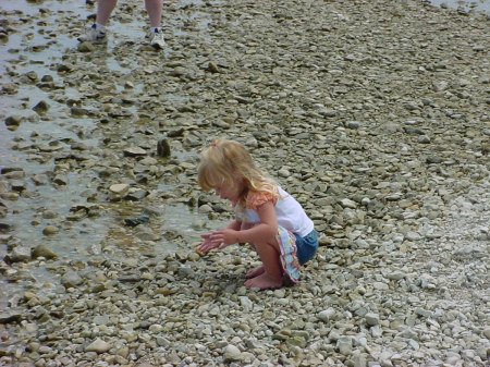 Amber on the rocky coast