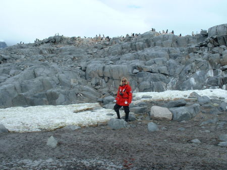 antarctica 2004